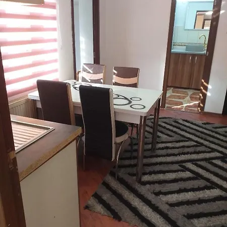 Apartment Casa Floare De Iris *
